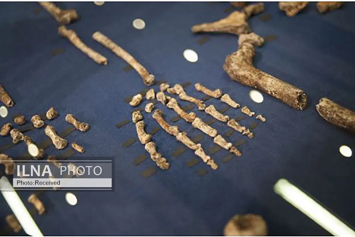فرستادن بقایای انسان‌های باستانی به فضا،‌ انتقاد باستان‌شناسان را به همراه داشت