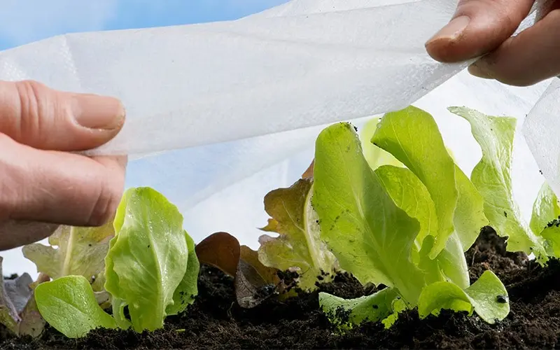 راهنمای خرید نایلون کشاورزی