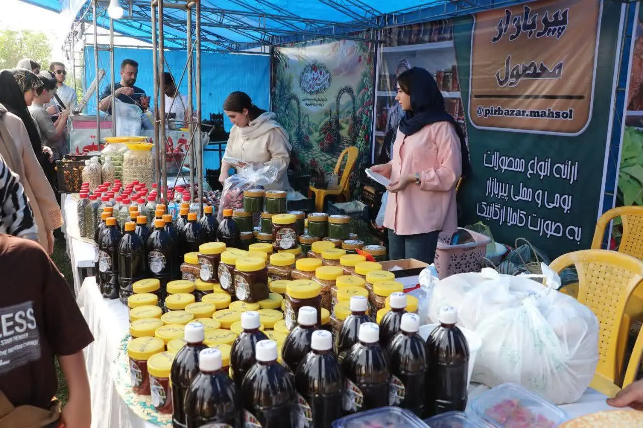 گزارش تصویری اولین جشنواره فرهنگی برداشت محصولات کشاورزی با معرفی توت فرنگی پیربازار