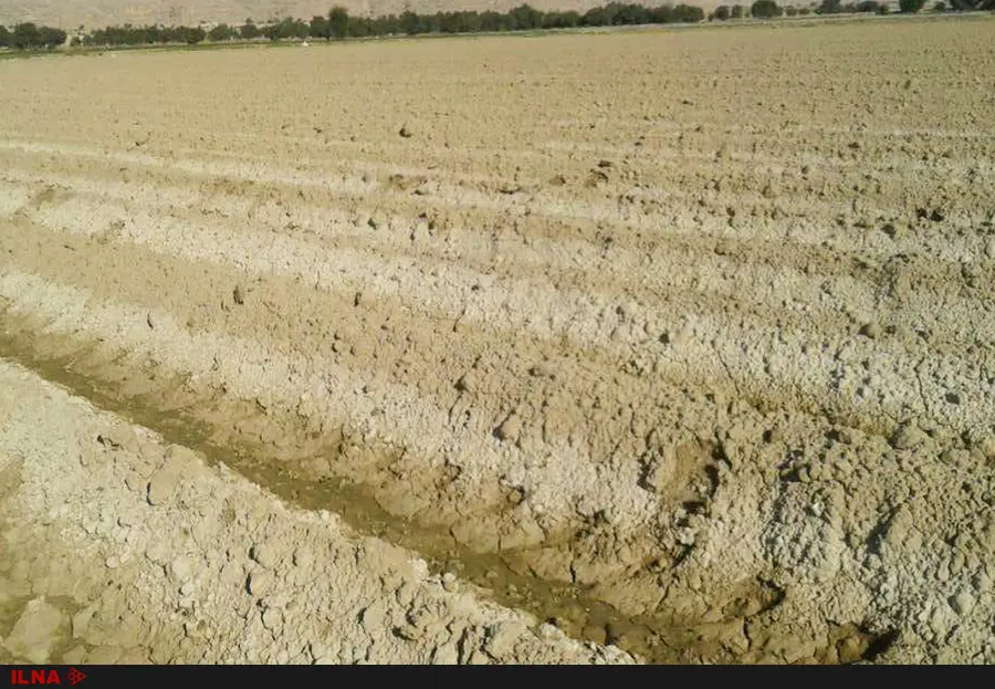 تبدیل زمینهای کشاورزی خوزستان به برهوت نمک تا 10 سال آینده/4میلیون هکتار زمین درمعرض نابودی/کارشناسان احداث سد گتوند را نقطه ننگین زیستمحیطی میدانند