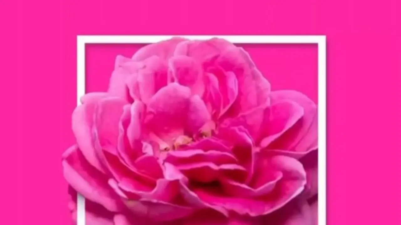 ۹ رنگی که در دنیا به نام ایران میشناسند