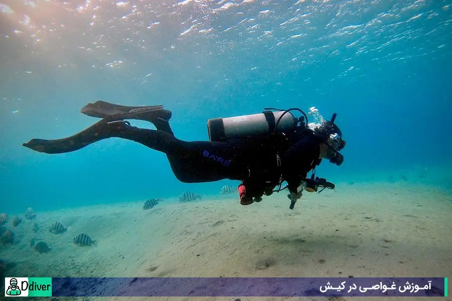 آموزش غواصی در کیش - اساتید مطرح غواصی