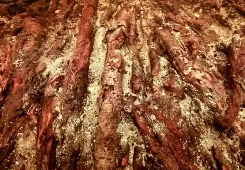 این جزیره کوچک یک سازه ۵ هزار ساله بود!
