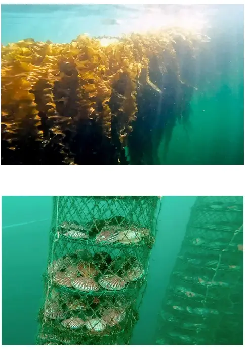 DPR Korea's mountains and coastline are changing