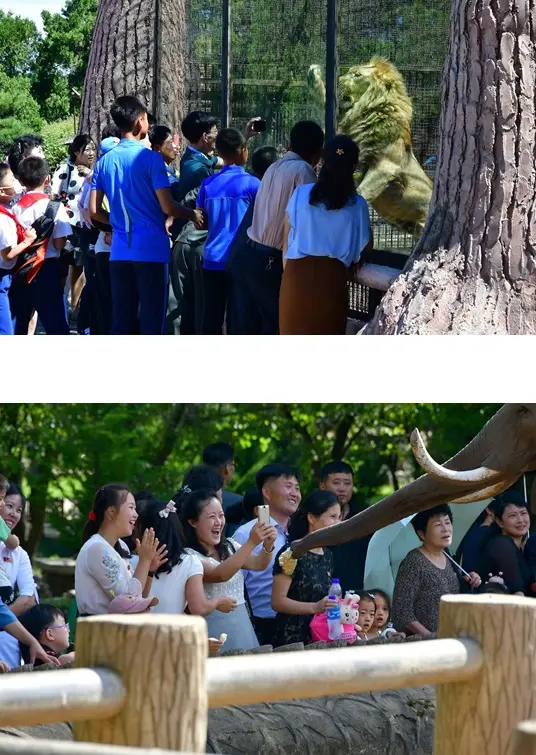 Cultural and recreational facilities in the Democratic People's Republic of Korea