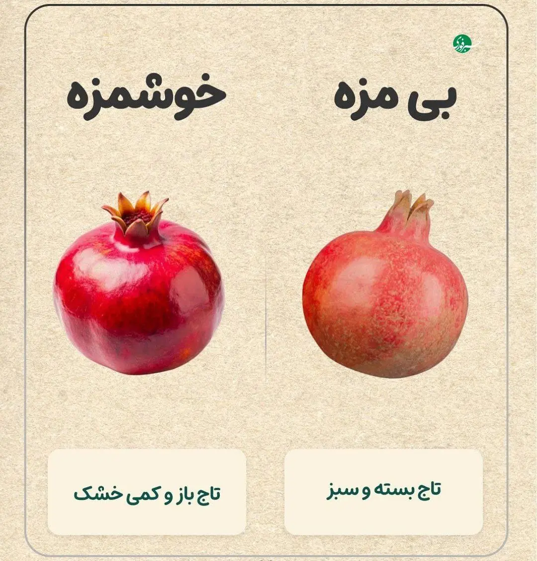 راهنمای خرید میوه + عکس