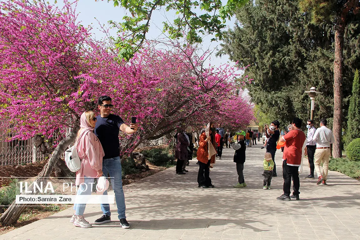 روزی برای شیراز؛ شهر راز