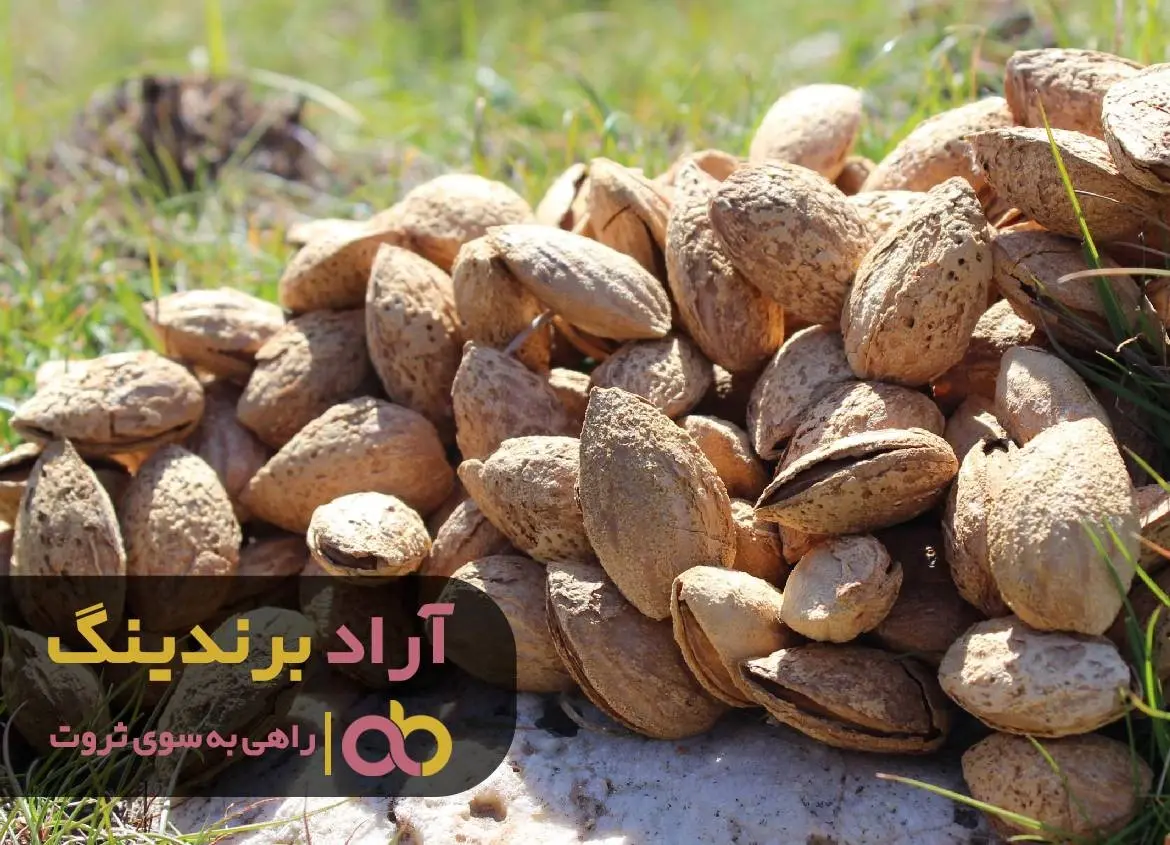 آیا فرمول ساده و اعجاب آور ثروتمند شدن را می دانید