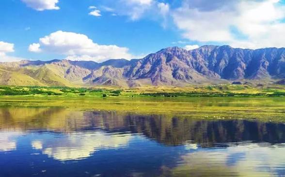 ۵۰ درصد تالاب بین‌المللی چغاخور در شهریورماه خشک شد