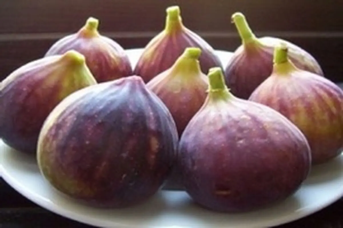 لزوم توجه به بازاریابی و صادارات جهانی انجیر سیاه لرستان