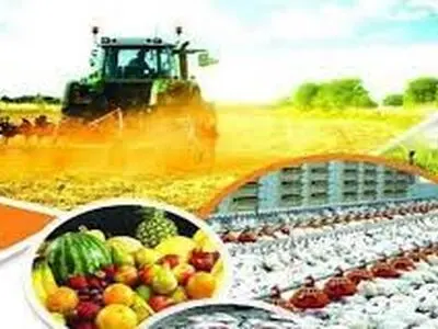 پرداخت تسهیلات به 75 طرح اشتغال فراگیر در استان مرکزی