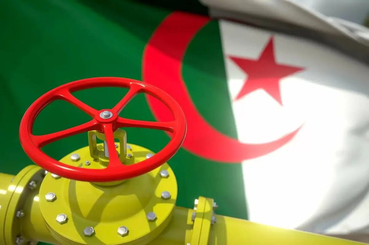 کشف ۱۰ ذخیره نفت و گاز در الجزایر