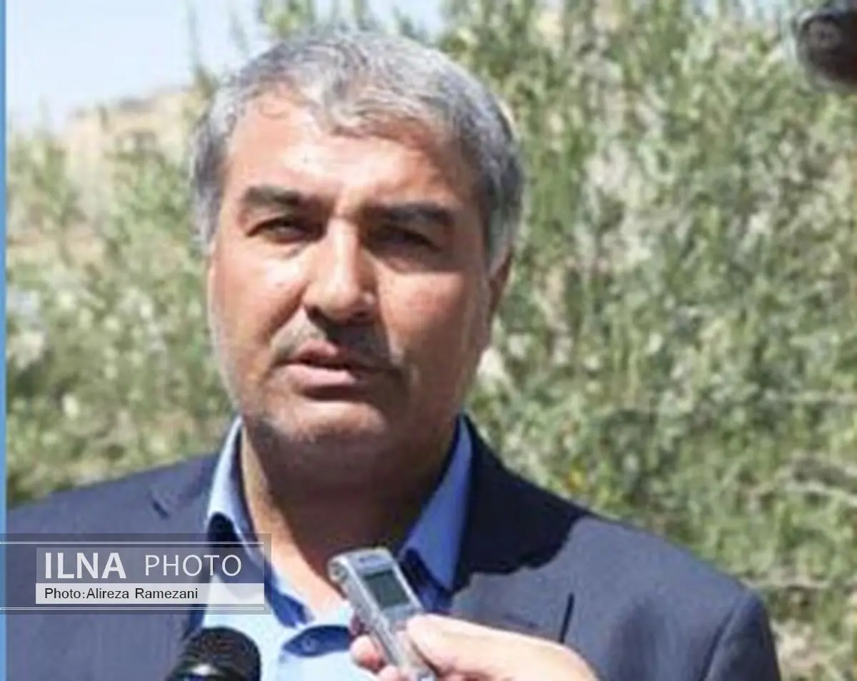 کنسرسیوم زیتون به زودی تشکیل می شود