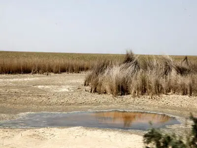 بررسی بحران آب خوزستان در میزگرد انجمن اسلامی مدرسین دانشگاه شهید چمران اهواز/قمیشی: آب در بالادست برای نقاطی که مشکلی ندارند منتقل می شود/ وزارت نیرو نگاه مالکیتی خود بر آب را تغییر دهد
