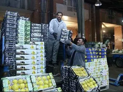 دیوان عدالت اداری پرونده نگهبانان اخراجی میادین میوه و تره‌بار شهرداری تهران را به جریان انداخت/ ادارات کار به رای دیوان عمل کنند 