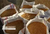 خرید تضمینی گندم از مرز ۳ میلیون تن گذشت