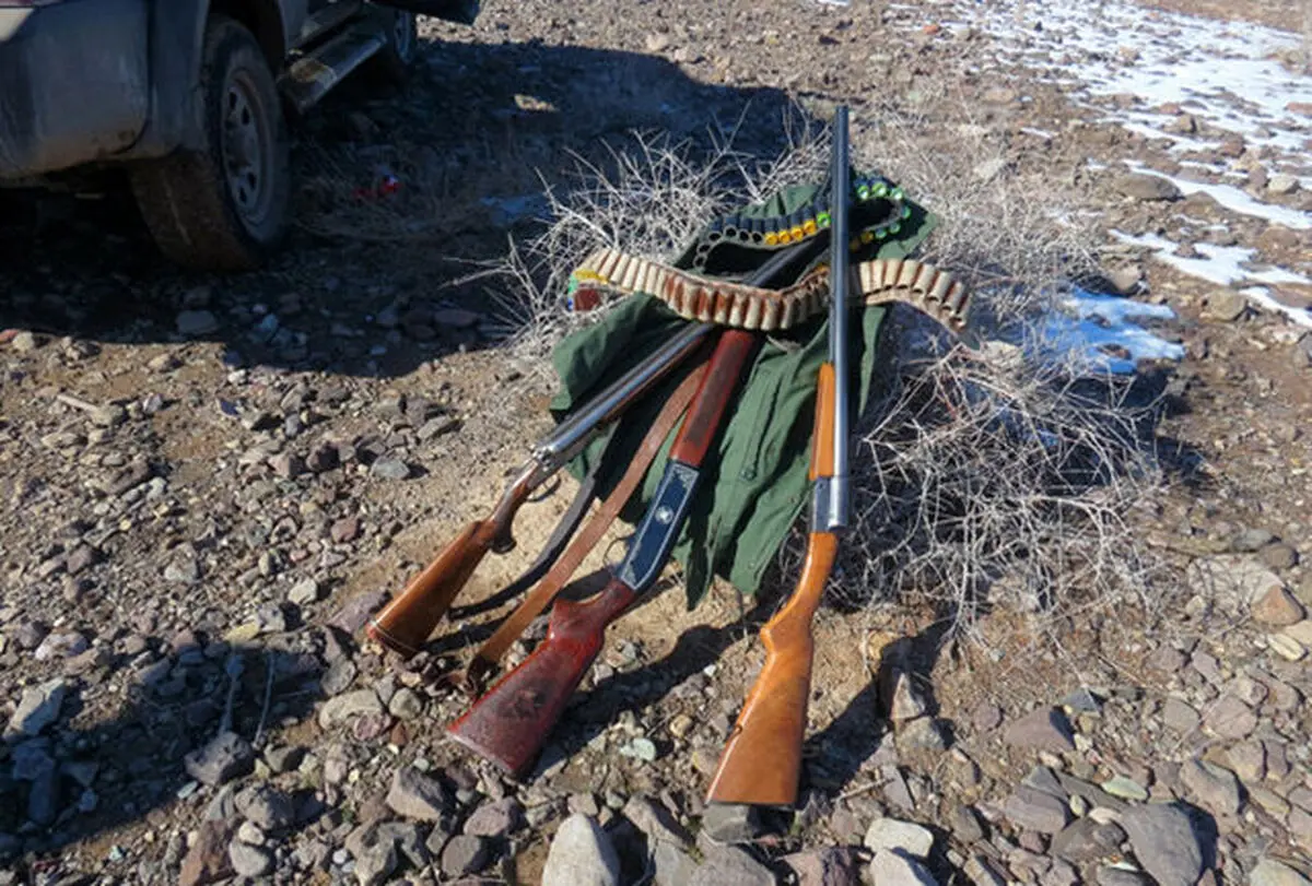 چهار ماه حبس تعزیری برای متخلف شکار و صید پرندگان وحشی در بردسکن