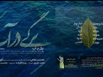 آلبوم «برگی در آب» منتشر شد/ همنوازی سنتور و تنبک 