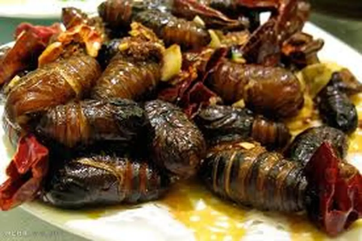 غذای صدساله هندی ها؛ سوسک‌ تانگنانگ