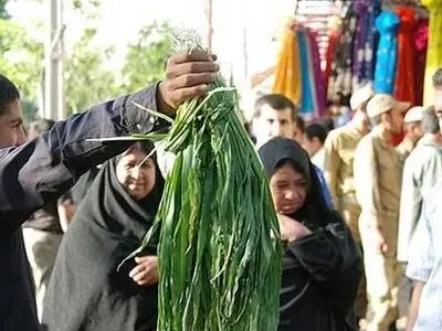 مردم در جمع‌آوری گیاهان کوهی از خسارت‌زدن به مراتع خودداری کنند