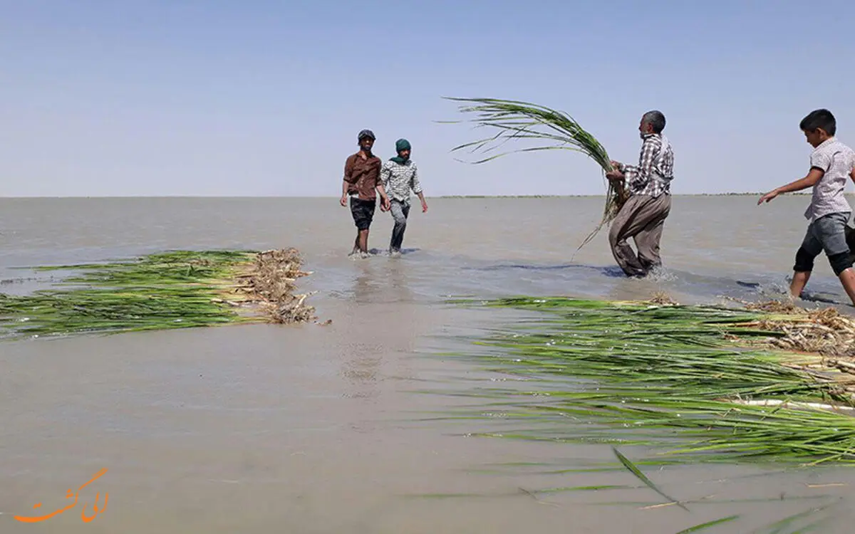 تالاب هامون و چاه‌نیمه‌ها در بهترین وضعیت آبی/ مرمت 25 نقطه حادثه‌خیز مسیل دشت سیستان