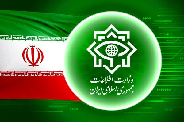 دستگیری ۱۰ تن از سرشاخه‌های شبکه سقط جنین در گیلان 