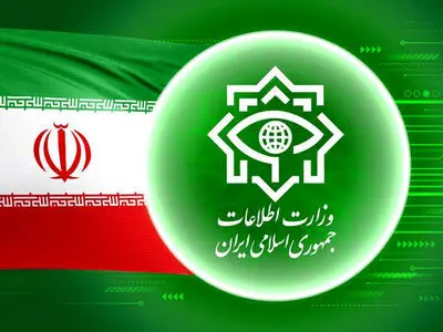 دستگیری ۱۰ تن از سرشاخه‌های شبکه سقط جنین در گیلان 