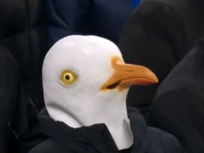 ویدئو: حضور جنجالی «مرغ دریایی» مقابل لیورپول