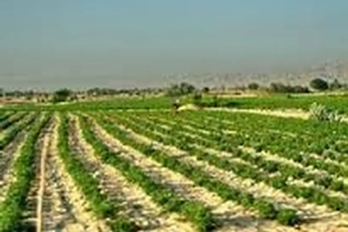 بخش کشاورزی اصفهان توسعه مربوط به خود را دارد