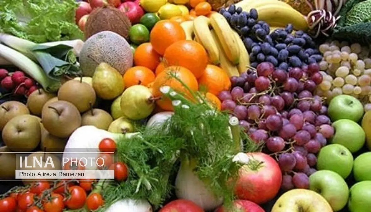 مهم‌ترین مشکل حوزه کشاورزی نبود زیرساخت بازرگانی است