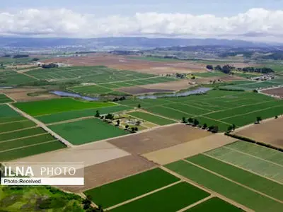 سرشماری عمومی کشاورزی ۱۴۰۳ در شهرستان معمولان اجرایی می‌شود