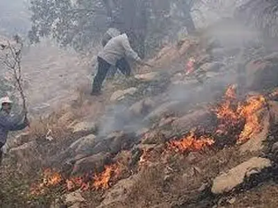مهار آتش‌سوزی در ارتفاعات مشرف بر روستای «آبزار» منطقه حفاظت شده دنا