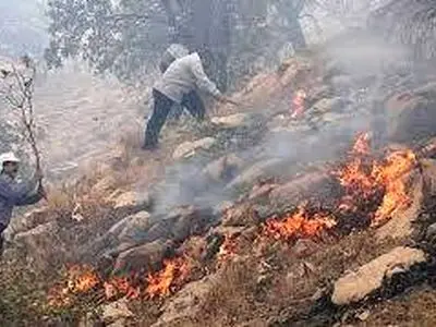 مهار آتش‌سوزی در ارتفاعات مشرف بر روستای «آبزار» منطقه حفاظت شده دنا