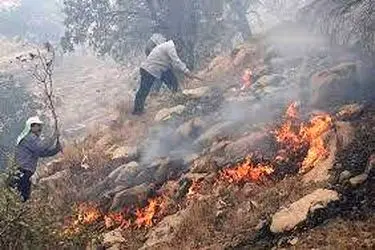 مهار آتش‌سوزی در ارتفاعات مشرف بر روستای «آبزار» منطقه حفاظت شده دنا