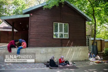 تک عکس / تعطیلات آخر هفته