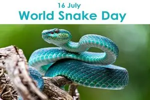 16 ژوئیه ⁧روز مار⁩ است