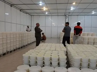 شروع به کار دوباره واحد «کیمیا پنیر قهاوند»