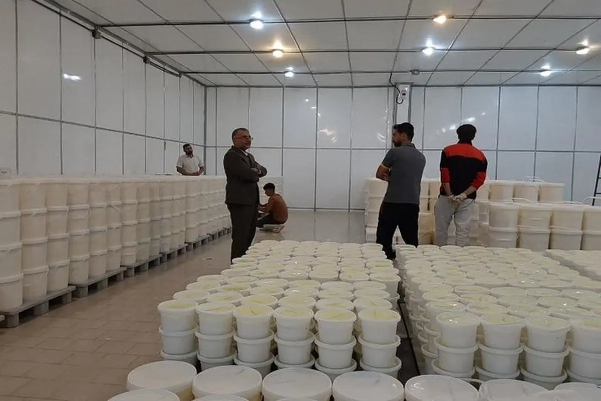 شروع به کار دوباره واحد «کیمیا پنیر قهاوند»