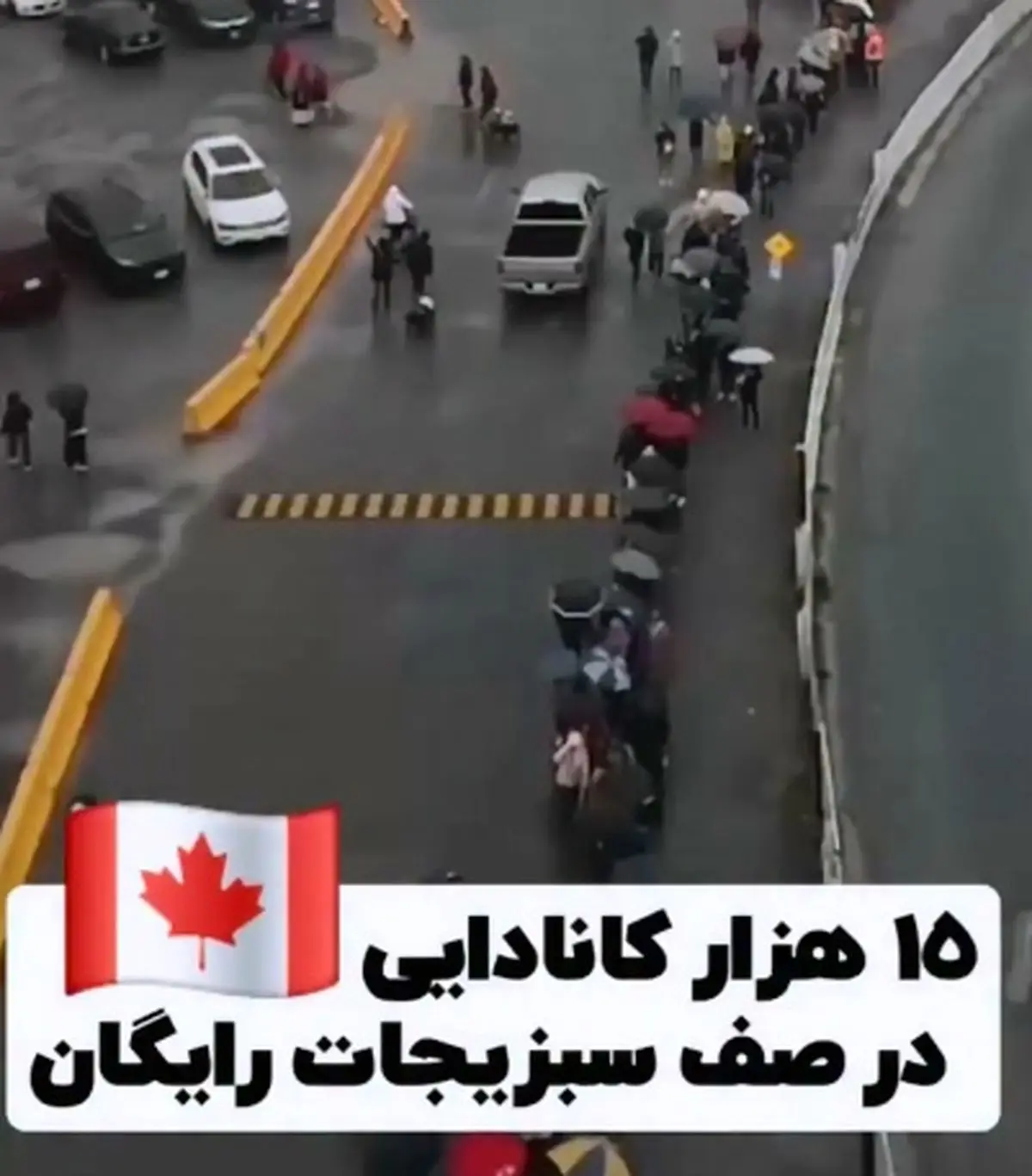 صف ۱۵ هزار نفری برای سبزیجات رایگان در کانادا + فیلم