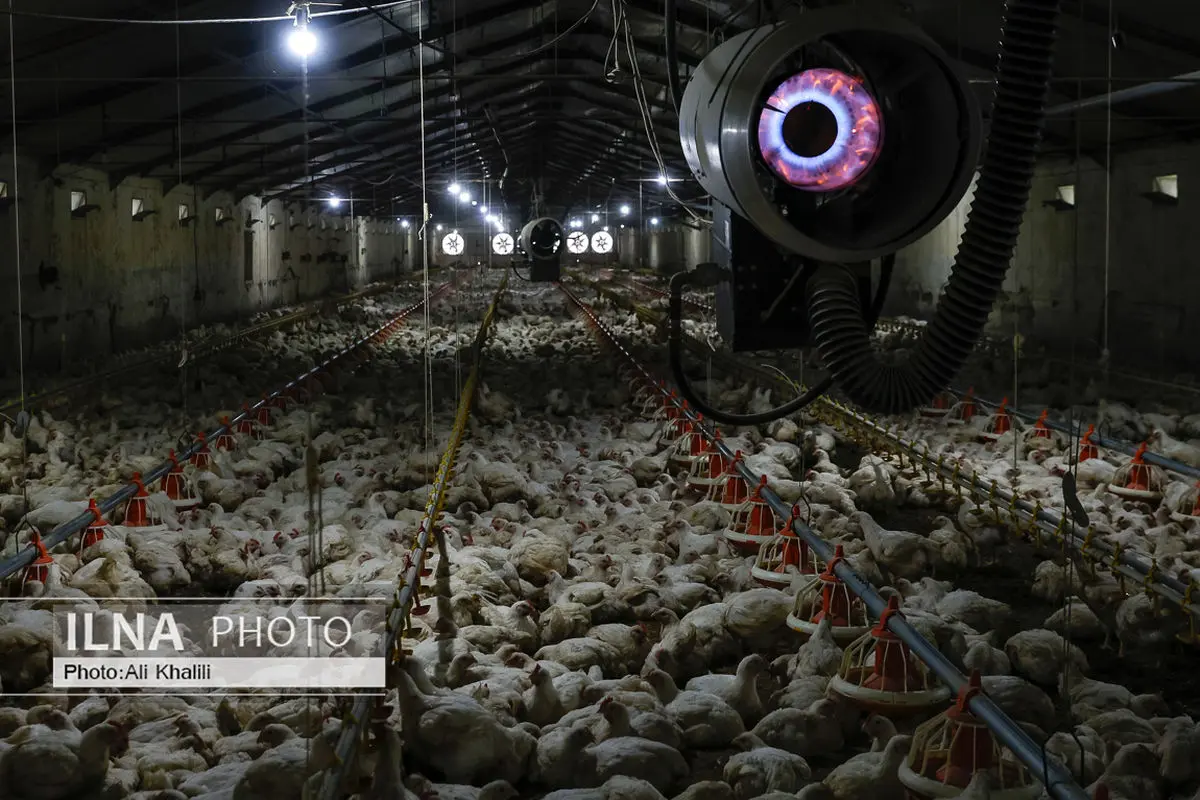 نامه سرگشاده فراکسیون کارگری مجلس به دولت پس از تعلل در ابلاغ مصوبه مزد سال جدید