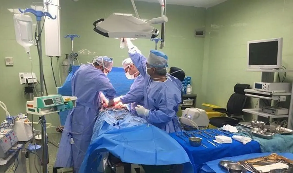 زندگی دوباره چند بیمار با اهداء عضو جوان مرگ مغزی گنابادی 