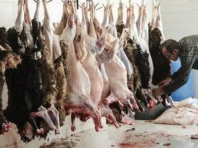 امحاء گوشت و آلایش دامی غیربهداشتی در شهرستان کرمانشاه