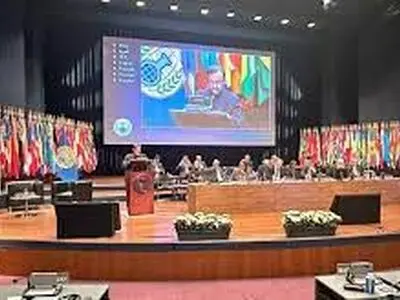 إیران تطالب بإجراء تحقیق في احتمال استخدام "إسرائیل" للأسلحة الکیمیاویة خلال الحرب على غزة