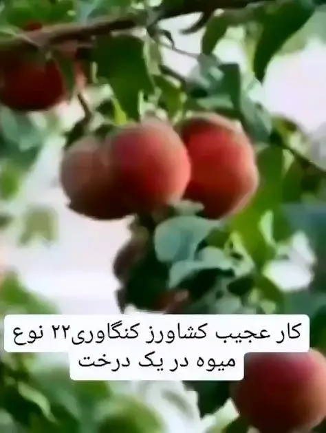 asdasd