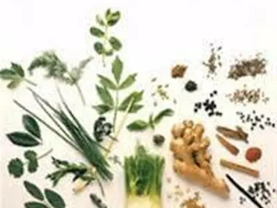 صدور مجوز واگذاری مدت ژد ار اراضی مورد نیاز به مجتمع کشت و صنعت غذایی و دارویی شهید مدرس 