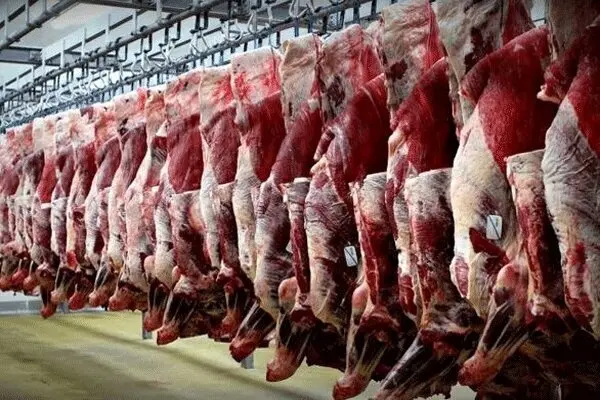 ۷ هزار تن گوشت قرمز در گیلان تولید شد