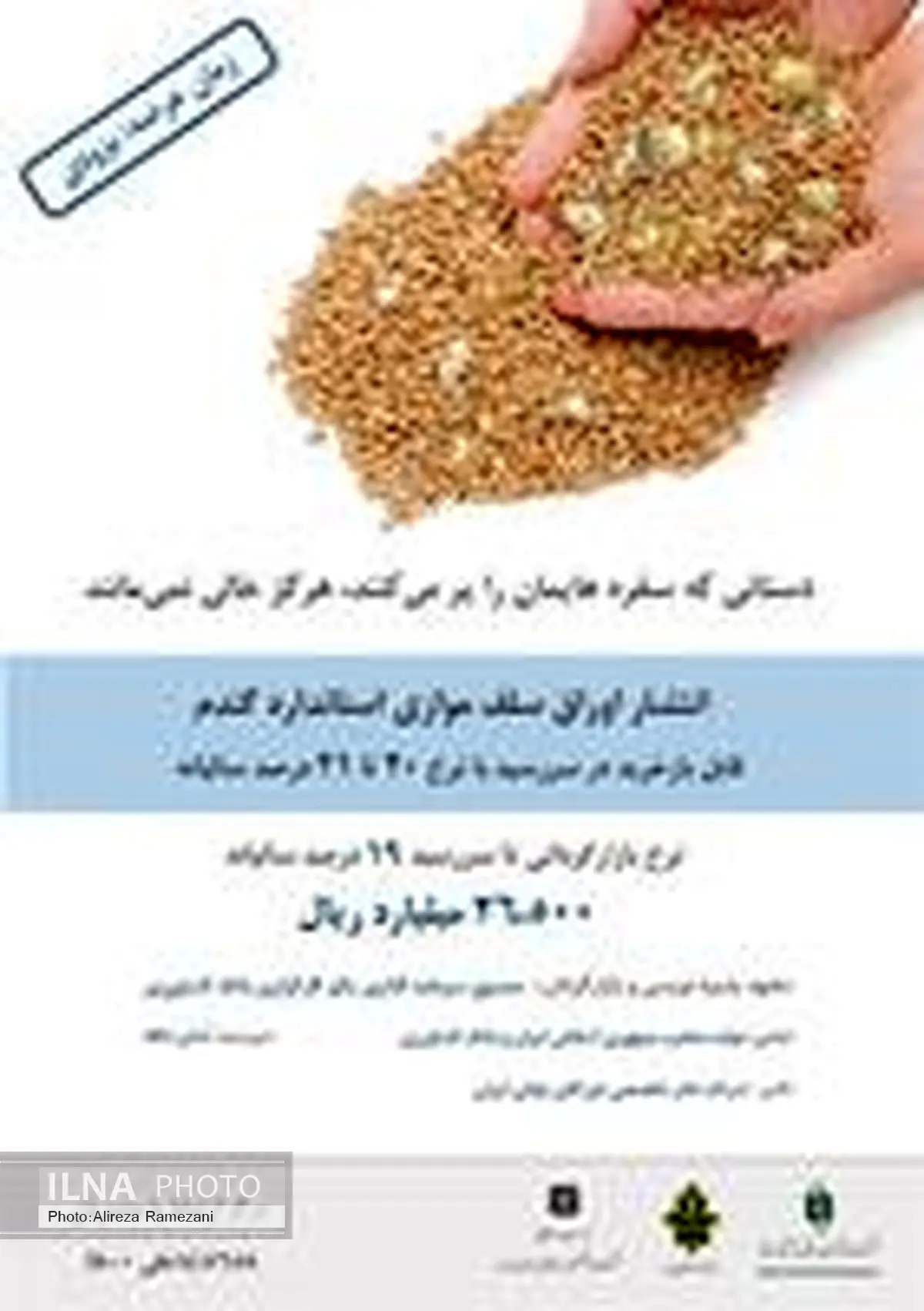 فروش 26500 میلیارد ریال اوراق سلف موازی توسط کارگزاری بانک کشاورزی برای پرداخت مطالبات گندمکاران