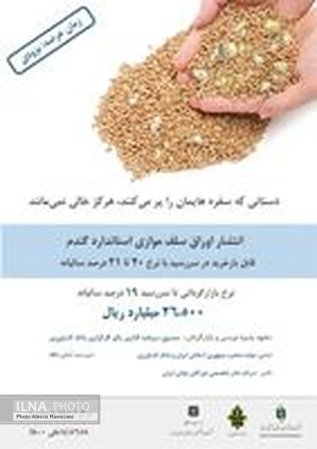فروش 26500 میلیارد ریال اوراق سلف موازی توسط کارگزاری بانک کشاورزی برای پرداخت مطالبات گندمکاران