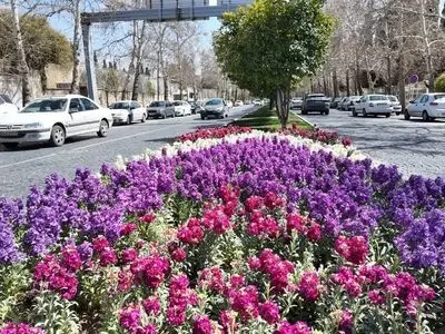 امسال ۹۸۵هزار اصله درخت در شیراز کاشت شد