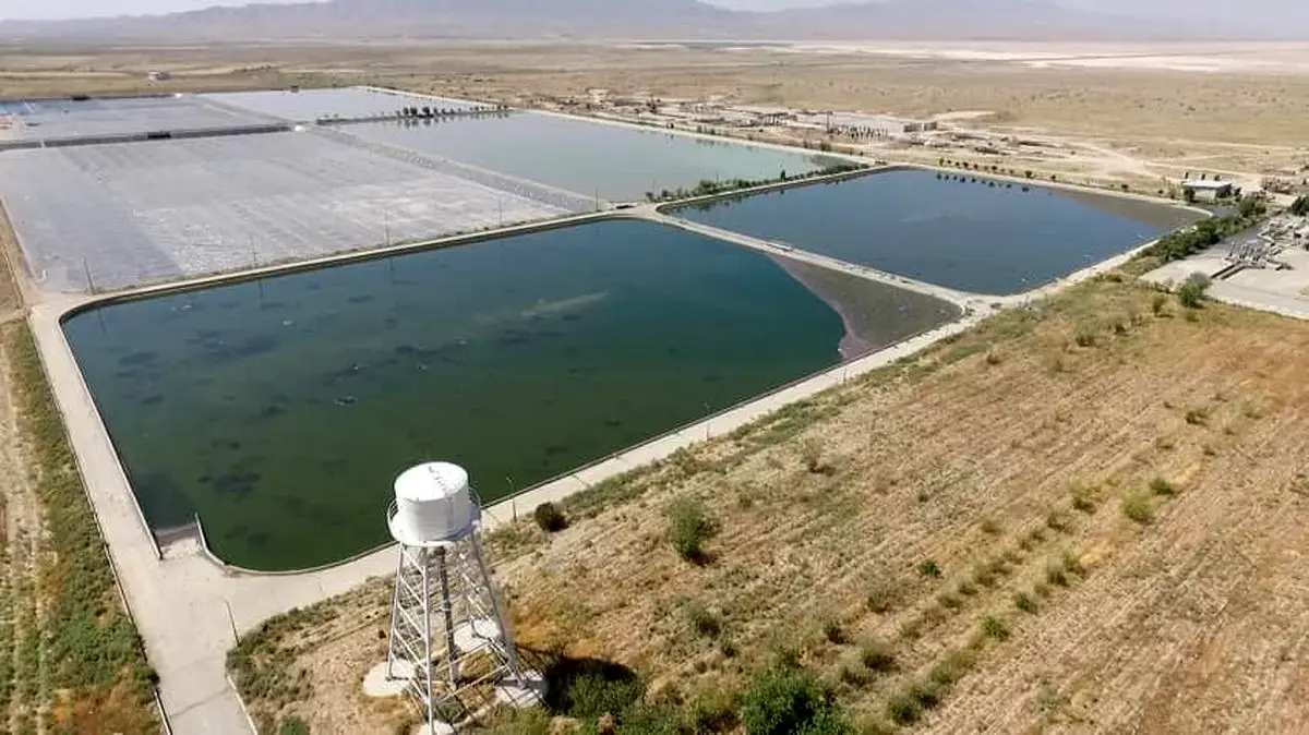 عایق آسیب دیده حوضچه تصفیه خانه فاضلاب کرج ترمیم شد